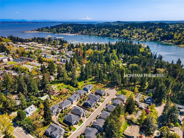 drone / aerial view with a residential view, a view of trees, and a water view