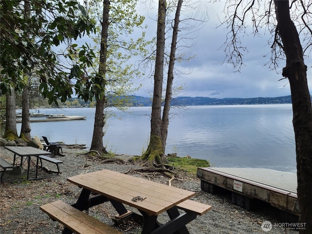 1343 211th Ave NE, Sammamish, WA 98074 - water view
