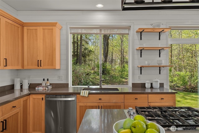 kitchen with open shelves, a sink, appliances with stainless steel finishes, and dark countertops