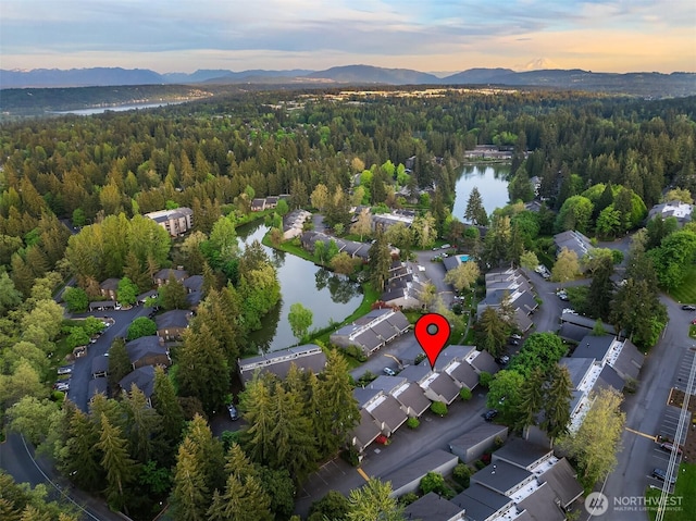 aerial overview of property's location featuring a heavily wooded area and a water and mountain view