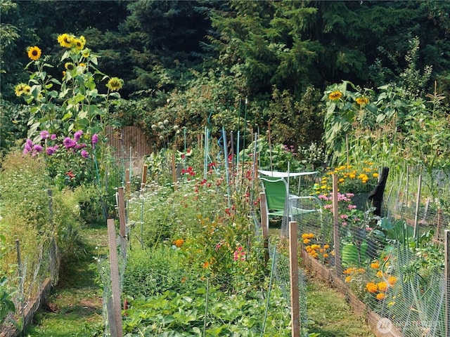 view of nature