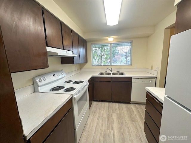 kitchen featuring white appliances, under cabinet range hood, dark brown cabinets, light wood finished floors, and a sink