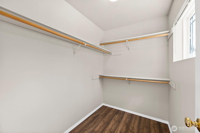 spacious closet with dark wood-style flooring