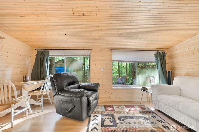 living room featuring wooden walls, wooden ceiling, and plenty of natural light