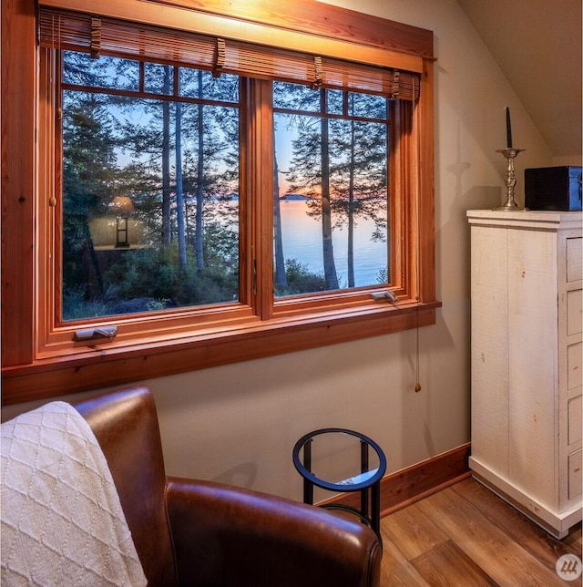 living area featuring baseboards, wood finished floors, and vaulted ceiling