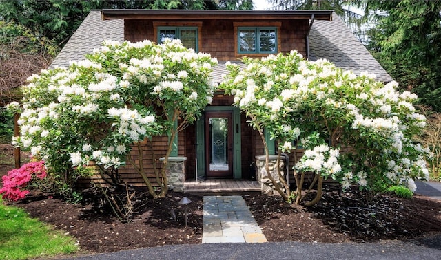 view of front of house with roof with shingles
