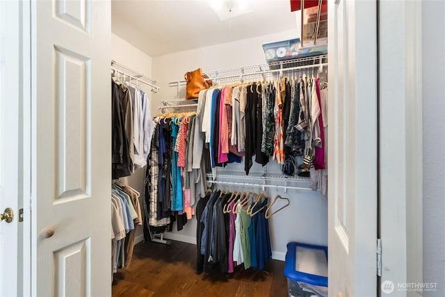 walk in closet with wood finished floors