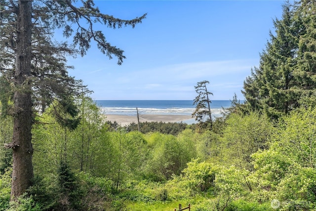 view of water feature with a beach view