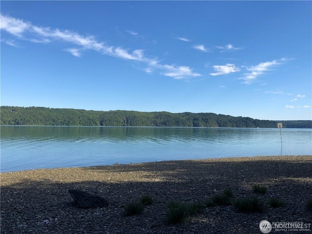 32241 N US Highway 101, Lilliwaup, WA 98555