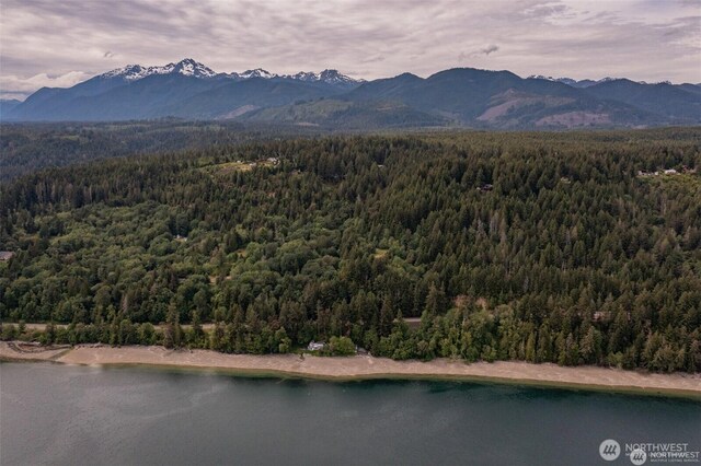32241 N US Highway 101, Lilliwaup, WA 98555