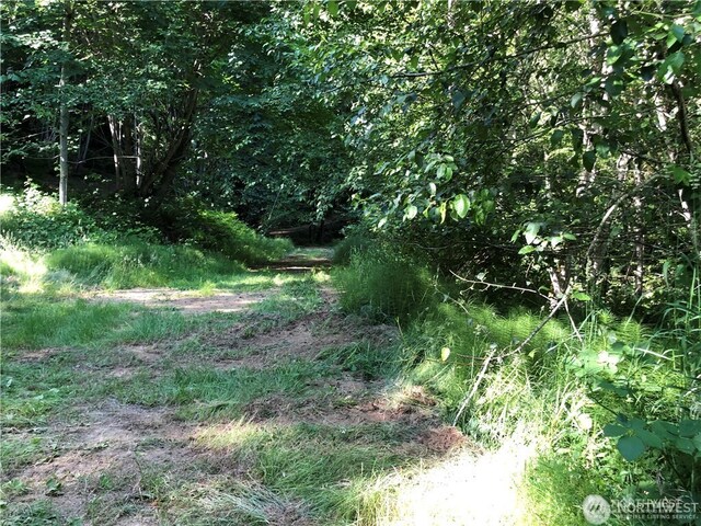 32241 N US Highway 101, Lilliwaup, WA 98555