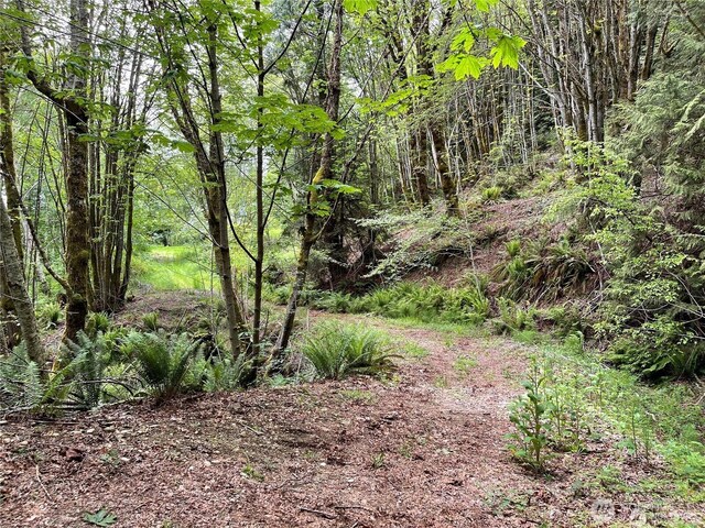 32241 N US Highway 101, Lilliwaup, WA 98555