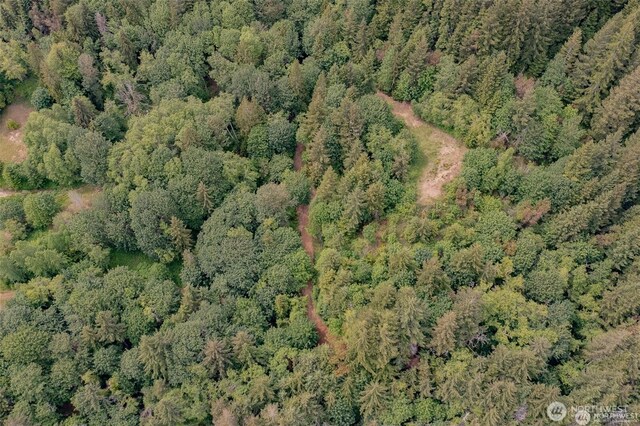32241 N US Highway 101, Lilliwaup, WA 98555