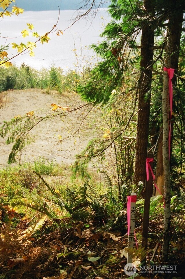 32241 N US Highway 101, Lilliwaup, WA 98555