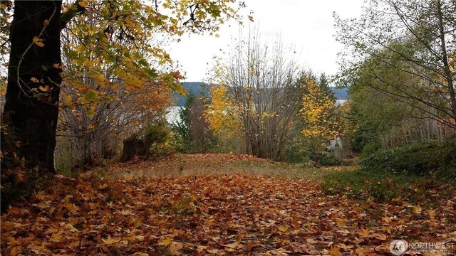 32241 N US Highway 101, Lilliwaup, WA 98555