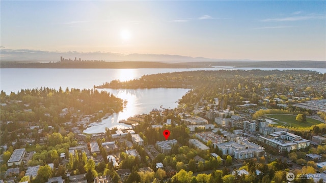 150 102nd Ave SE Unit 213, Bellevue, WA 98004 - drone / aerial view with a water view