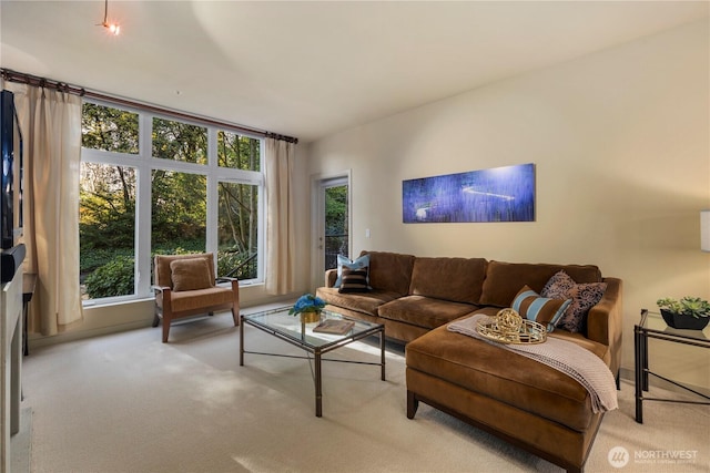 150 102nd Ave SE Unit 213, Bellevue, WA 98004 - living room with light colored carpet