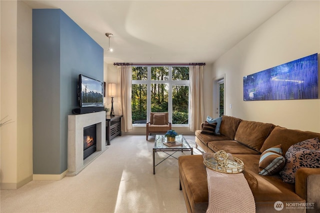 150 102nd Ave SE Unit 213, Bellevue, WA 98004 - living area featuring a glass covered fireplace, baseboards, and light colored carpet