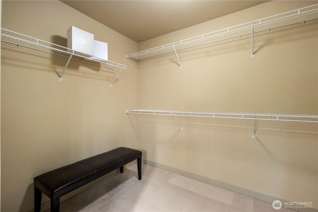150 102nd Ave SE Unit 213, Bellevue, WA 98004 - spacious closet with carpet