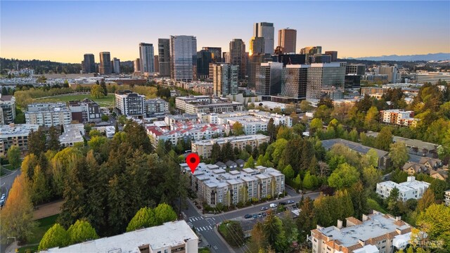 150 102nd Ave SE Unit 213, Bellevue, WA 98004 - city view
