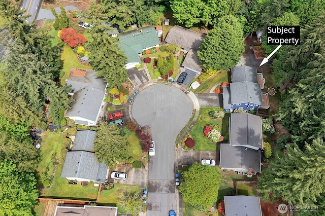 bird's eye view