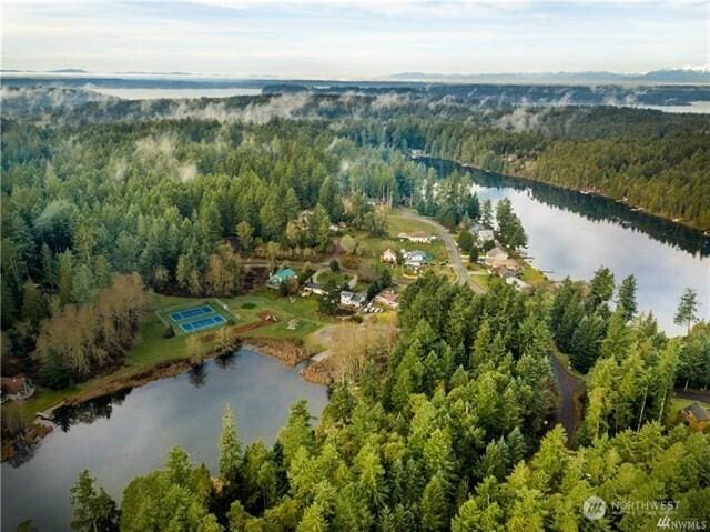 aerial view with a water view and a forest view
