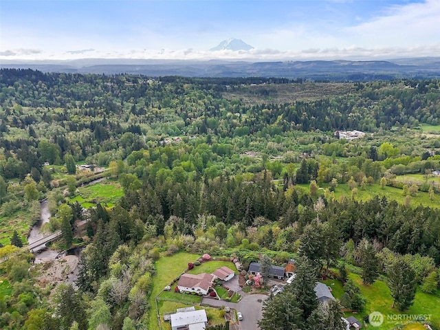 birds eye view of property featuring a mountain view and a forest view