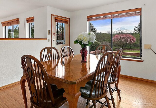 dining space with baseboards, light wood finished floors, and a wealth of natural light