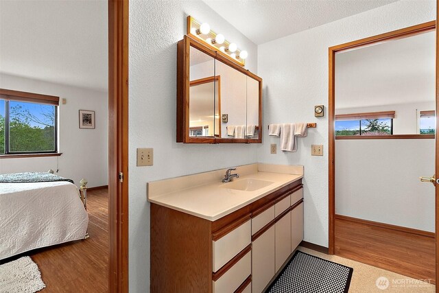 ensuite bathroom featuring connected bathroom, wood finished floors, and a wealth of natural light