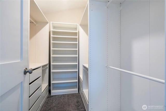 walk in closet with dark carpet