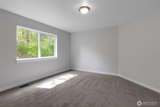 spare room with visible vents, carpet, and baseboards