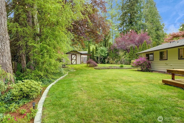 view of yard featuring a storage shed and an outdoor structure