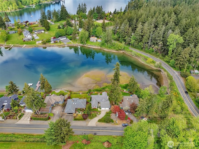 7918 Ray Nash Dr NW, Gig Harbor, WA 98335 - photo 22