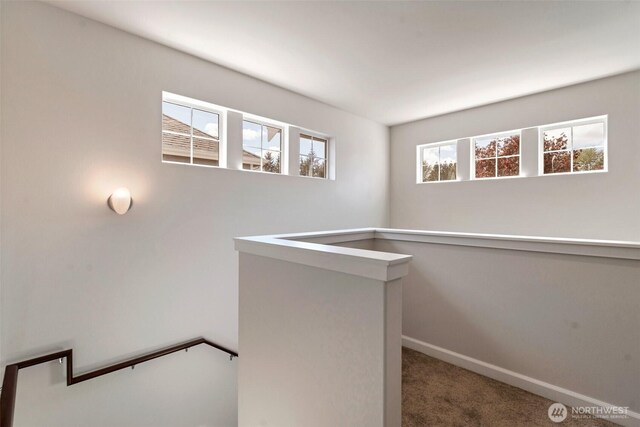interior space featuring carpet