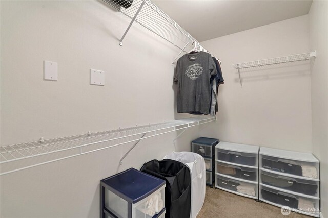 walk in closet featuring carpet floors and visible vents