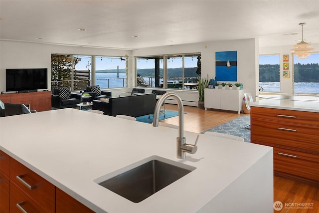 6614 N 49th St, Tacoma, WA 98407 - kitchen with open floor plan, a sink, wood finished floors, and light countertops
