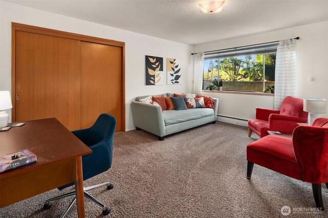 6614 N 49th St, Tacoma, WA 98407 - home office with carpet flooring and a baseboard heating unit