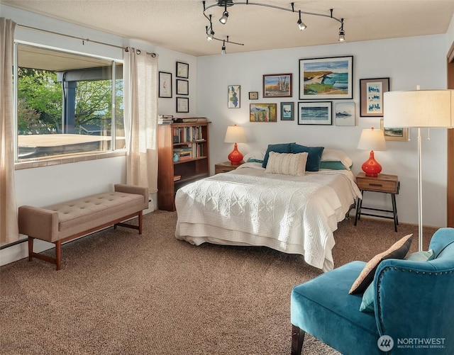 6614 N 49th St, Tacoma, WA 98407 - carpeted bedroom with track lighting