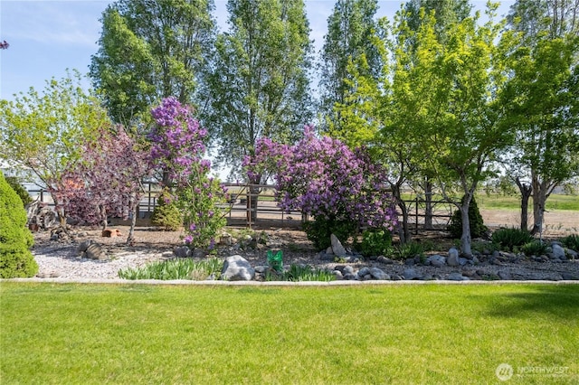 exterior space with a yard