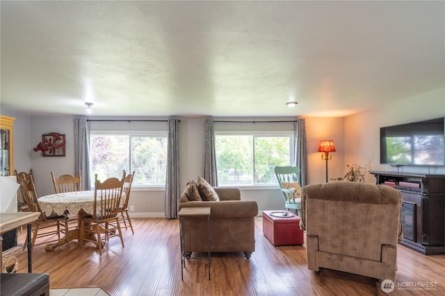 living room with baseboards and wood finished floors