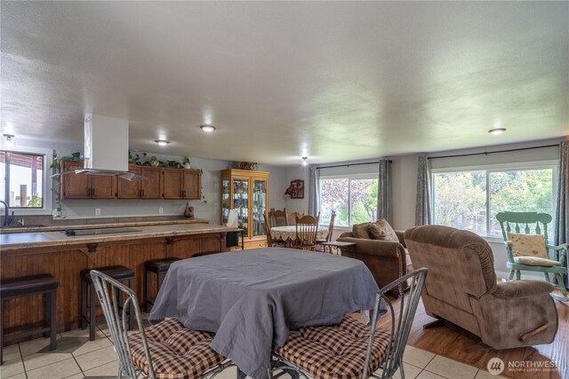 dining space with light tile patterned flooring and a wealth of natural light