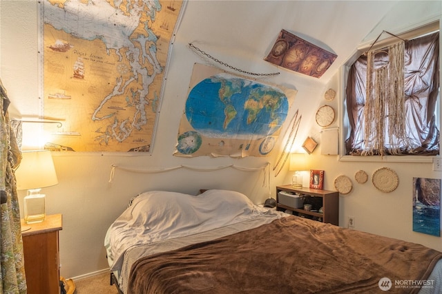 bedroom featuring carpet floors