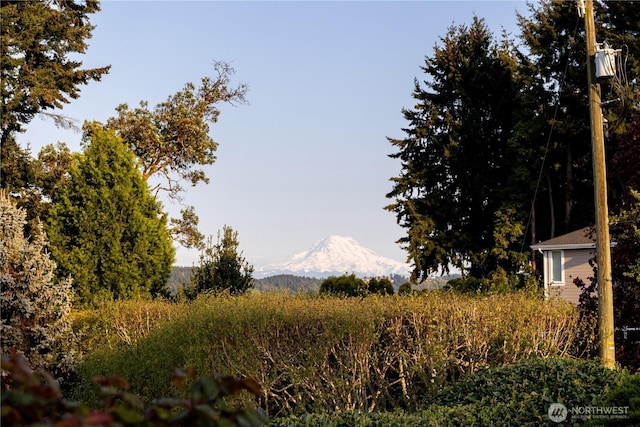 view of nature with a mountain view