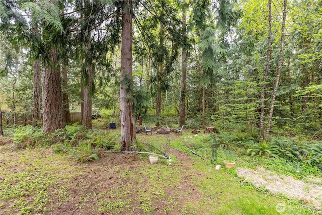 view of yard featuring a wooded view