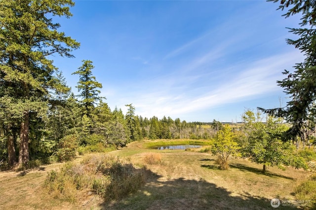 289 Alaska Pl, Friday Harbor, WA 98250 - photo 3