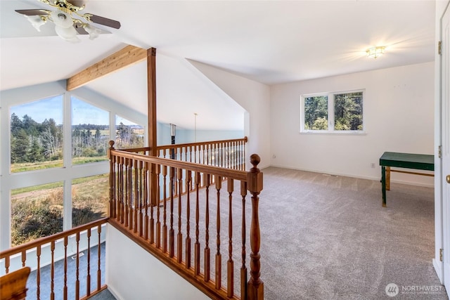 289 Alaska Pl, Friday Harbor, WA 98250 - photo 29