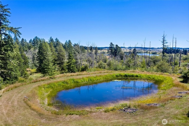 289 Alaska Pl, Friday Harbor, WA 98250 - photo 33