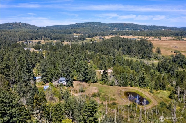 289 Alaska Pl, Friday Harbor, WA 98250 - photo 34