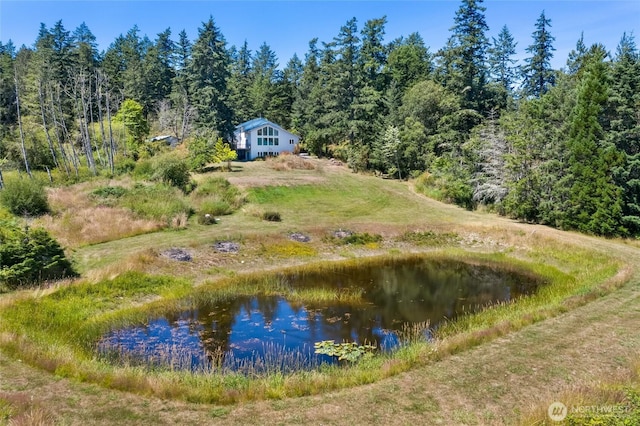 289 Alaska Pl, Friday Harbor, WA 98250 - photo 35