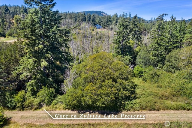 289 Alaska Pl, Friday Harbor, WA 98250 - photo 36